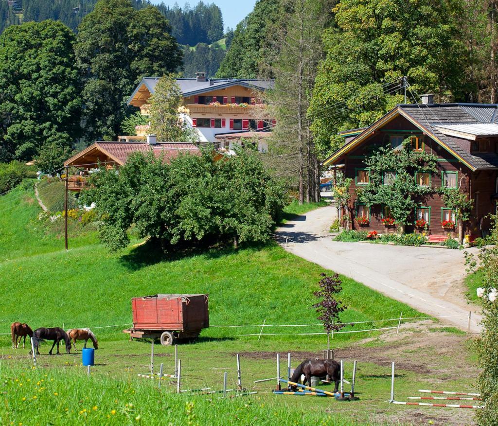 Zauchtaler Hof Hotel Altenmarkt im Pongau Buitenkant foto